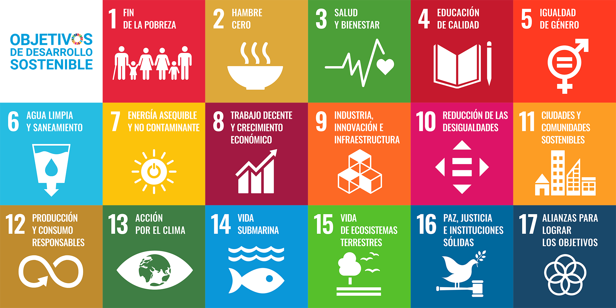 Los Objetivos de Desarrollo Sostenible (ODS)